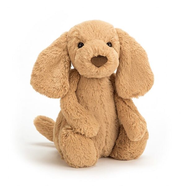 Jellycat - Bashful Puppy Toffee