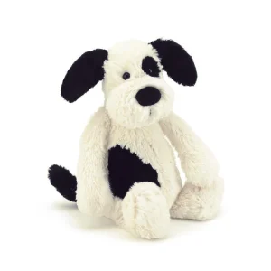 Small Bashfull Black and Cream Puppy