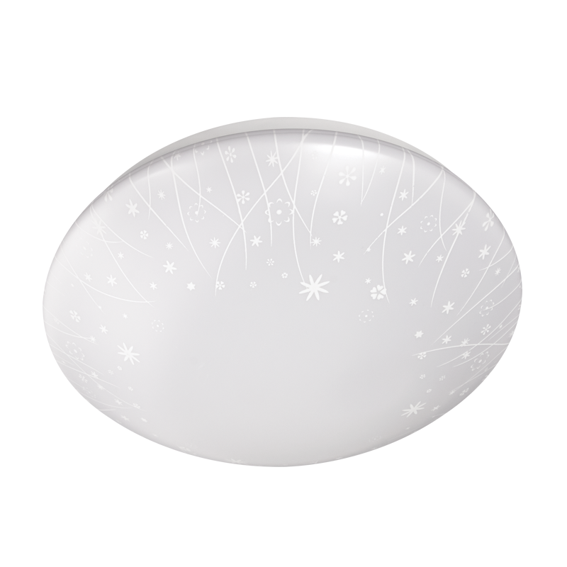 12W 6000K (Sold Box 10)CEILING FITTING