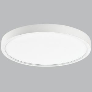 60W LED CCT ABS CEILINGFITTING 600MM