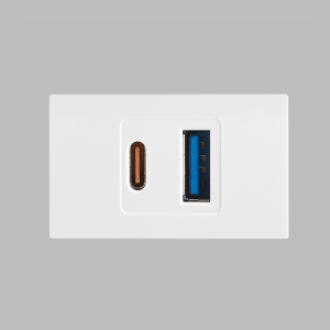 MODULAR WHITE USB TYPE A + TYPE C