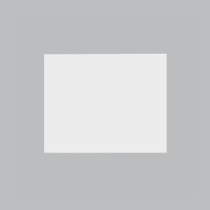 MODULAR WHITE BIG BLANK INSERT PLATE 1.5