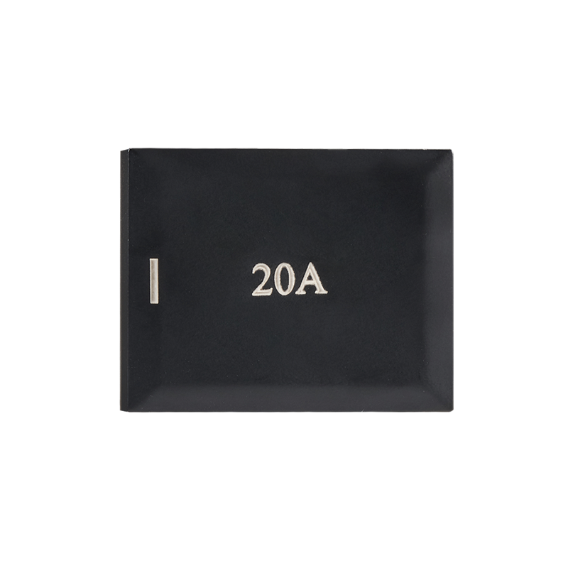 MODULAR BLACK 20A MODULE (BIG BUTTON)