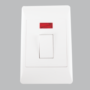 32A DOUBLE POLE ISOLATOR 2 X 4  (10 per box)