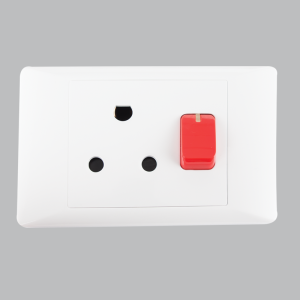 16 AMP DEDICATED PLUG 2 X 4 (10 per box)