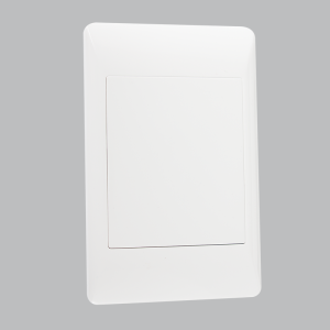 BLANK PLATE 2 X 4 (20 per box)
