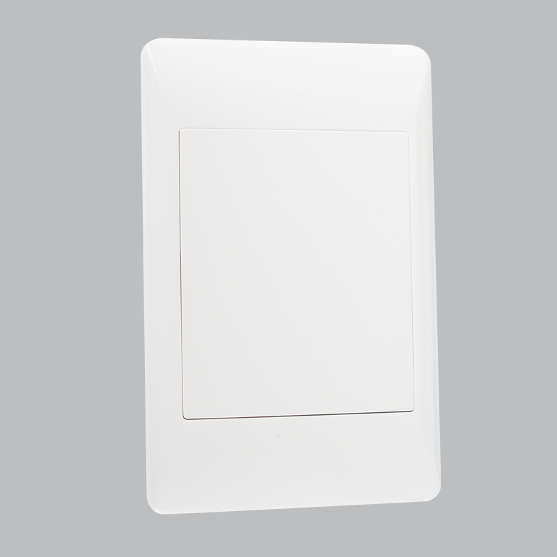 BLANK PLATE 2 X 4 (20 per box)