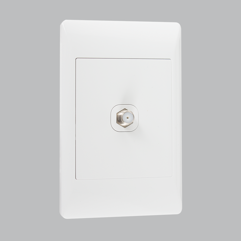 SATELLITE SOCKET 2 X 4 (10 per box)