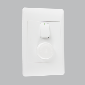 FAN SPEED CONTROL + LIGHT SWITCH 2 X 4 (5 per box