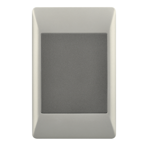 BLANK PLATE 2 X 4 (20 per box)