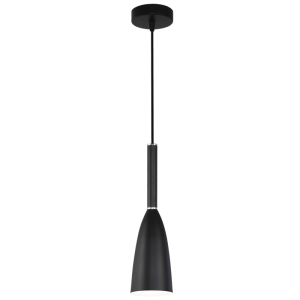 1 LIGHT BLACK PENDANT 1X60W ES