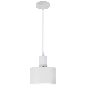1 LIGHT WHITE PENDANT 1X60W ES