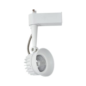 S101/10W LED