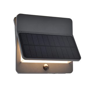 Aleta 2LT Solar Wall Light with PIR LED