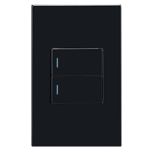 Horizon Modern 2L2W Switch Black